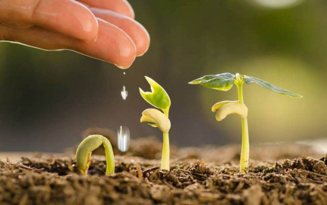 “Anche in un chicco di grano si nasconde l’universo”