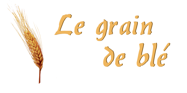 Le grain de blé